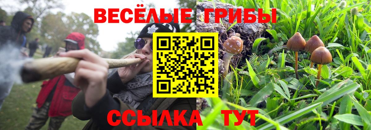 Галлюциногенные грибы мицелий Светлоград