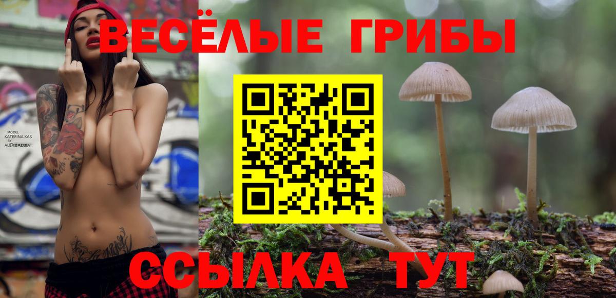 Светлоград  Галлюциногенные грибы Psilocybine cubensis  Галлюциногенные грибы Magic Shrooms  Вход с VPN 